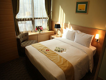 Hotel Skypark 1 4*